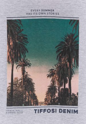 T-shirt cinza c/ print palmeiras para boy da Tiffosi