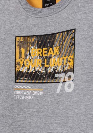 Sweat cinza c/ estampa para boy da Tiffosi